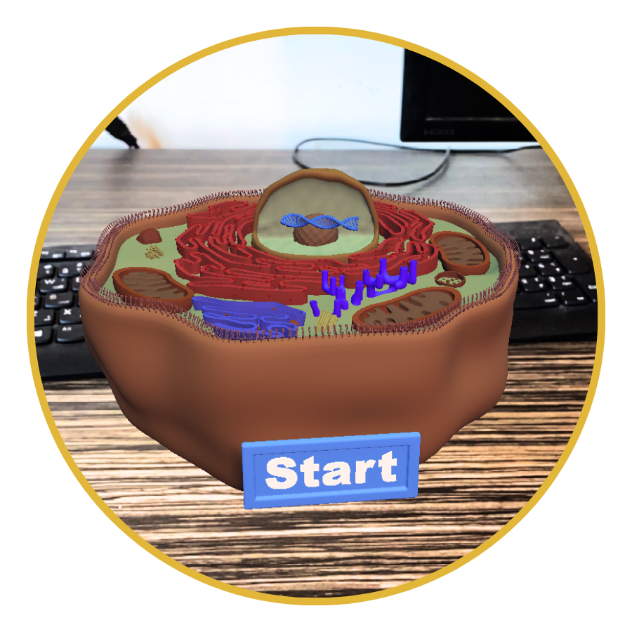 SimLab Soft Teacher's Road Map VR - Human Cell Visualize